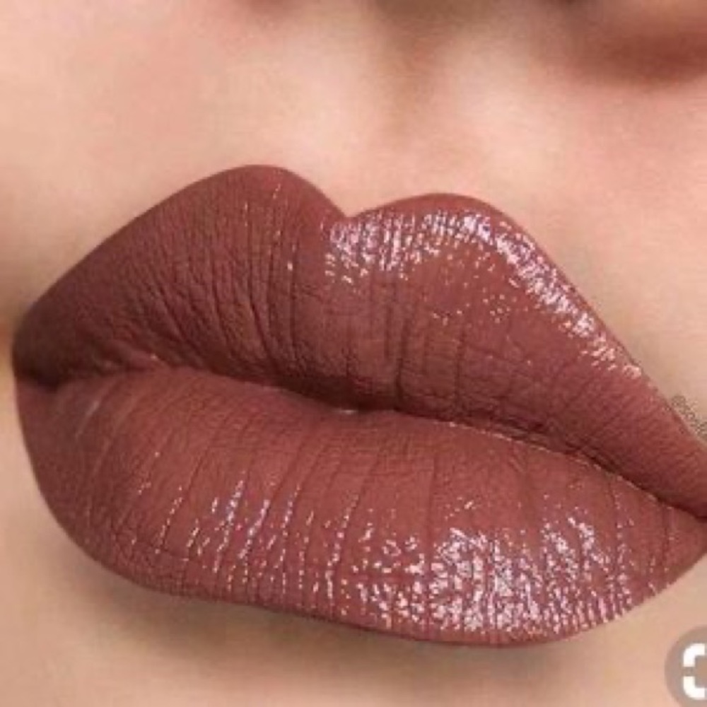 NEW IN BOX Ashton Anastasia BH Liquid Lipstick